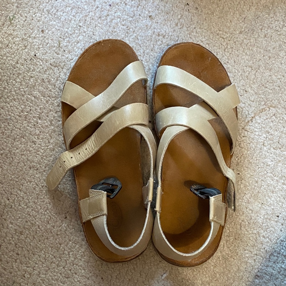 Chaco wayfarer